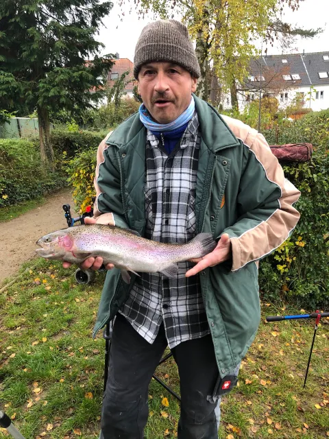 Regenbogenforelle