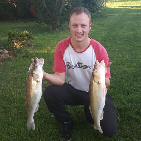 Zander