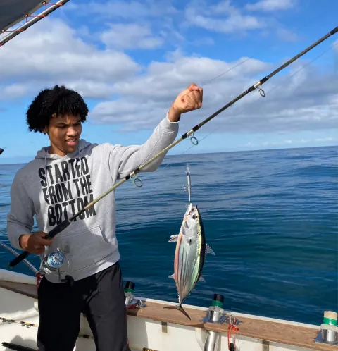 Bonito