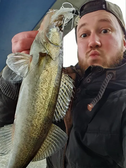 Zander