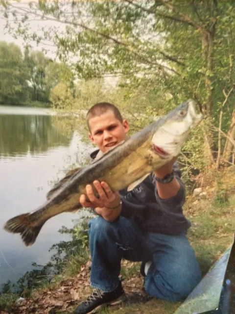 Zander