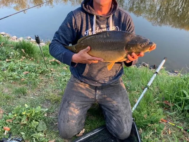 Karpfen