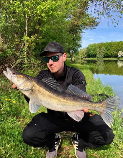 Zander