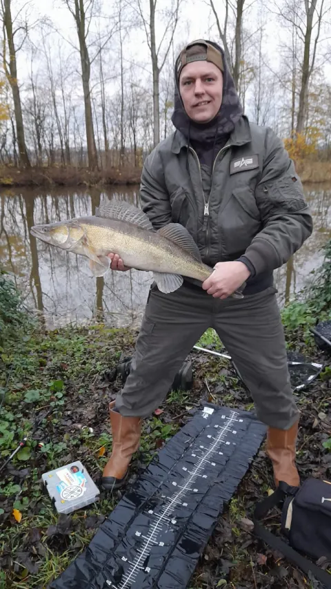 Zander