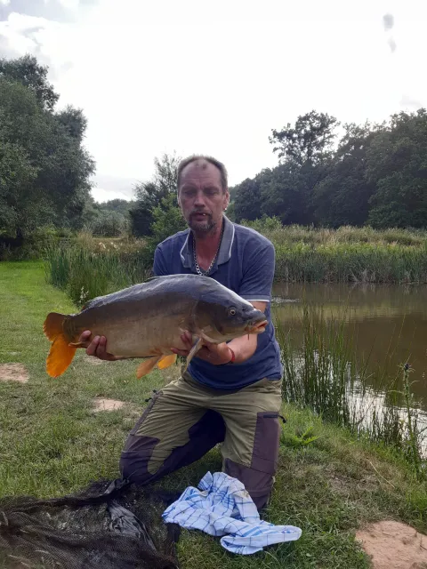 Karpfen