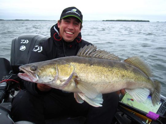 Zander