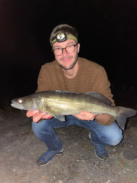 Zander