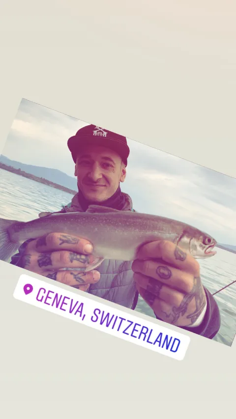 Seesaibling