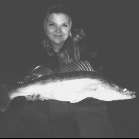 Zander