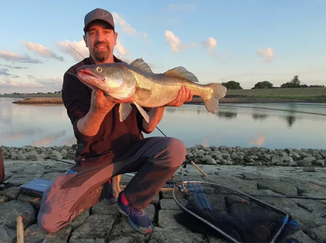 Zander