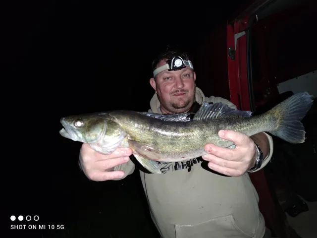 Zander
