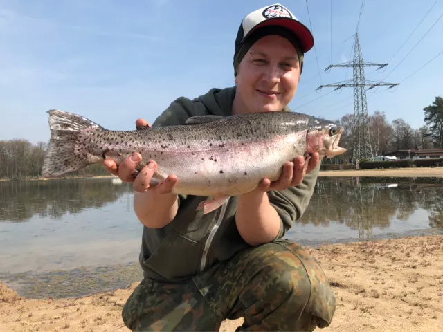Regenbogenforelle