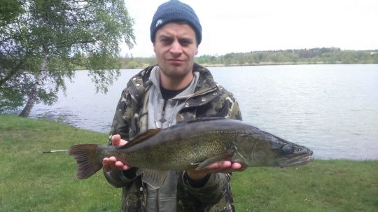 Zander