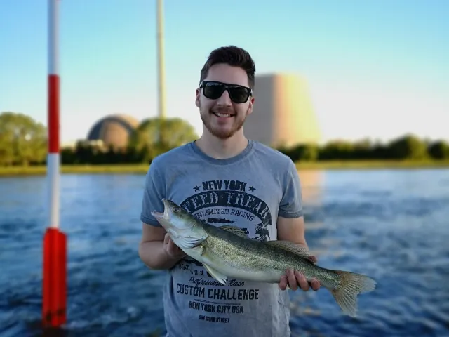 Zander