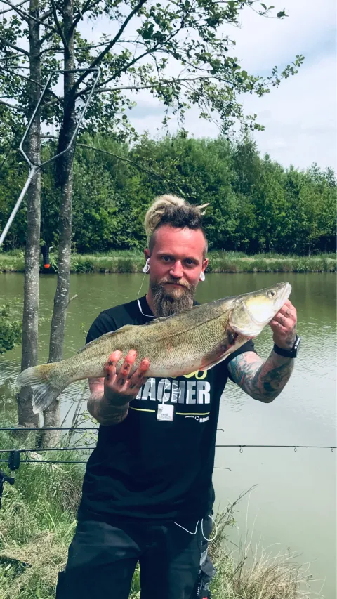 Zander