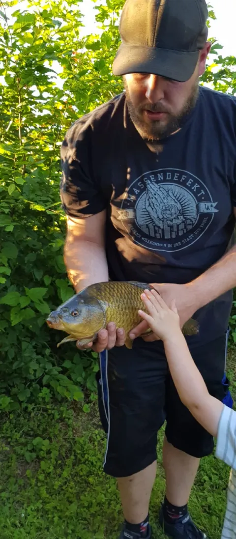 Karausche