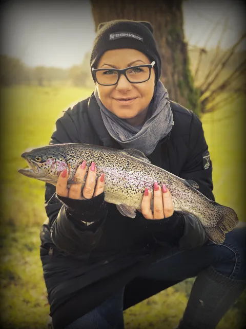 Regenbogenforelle