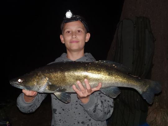 Zander