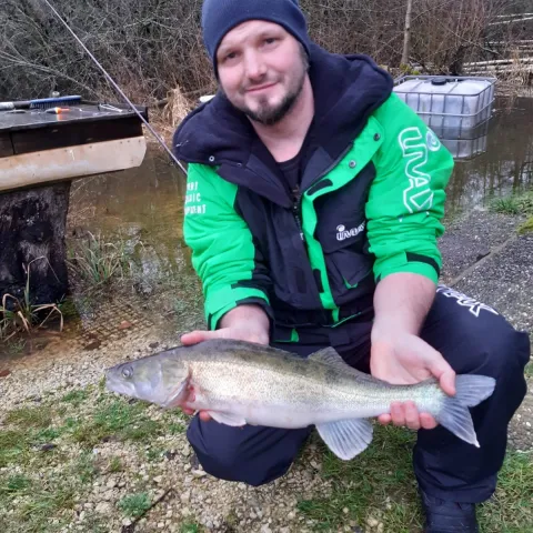 Zander