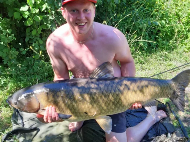 Graskarpfen