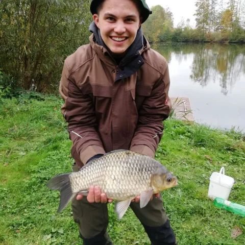 Giebel