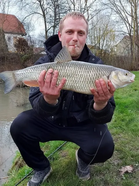 Döbel