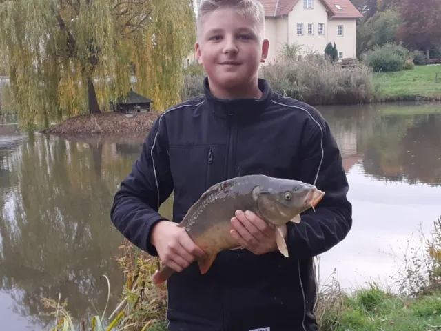 Karpfen