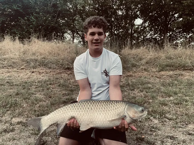 Graskarpfen