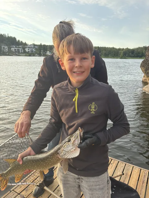 Hecht