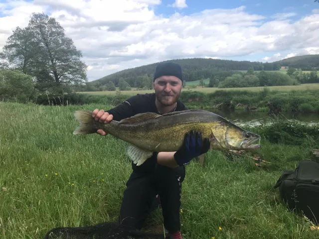 Zander