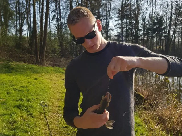 Schleie