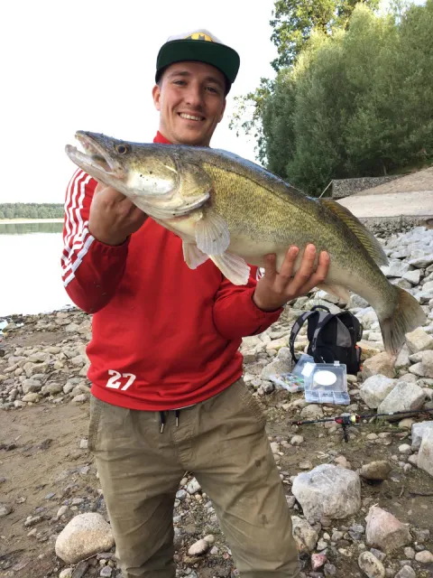 Zander