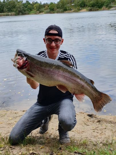 Regenbogenforelle