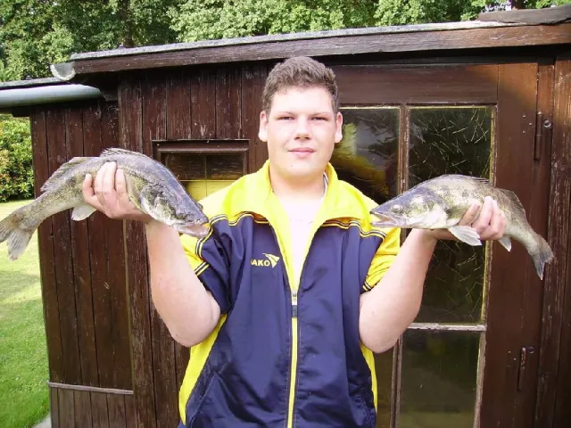 Zander