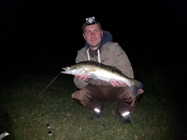 Zander
