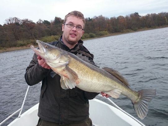 Zander