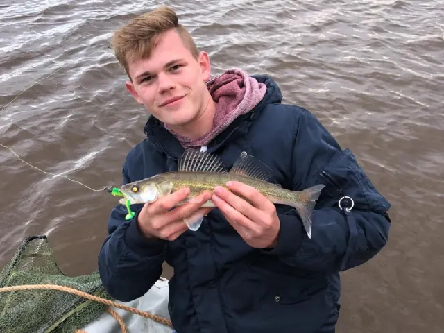 Zander