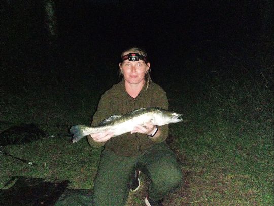 Zander