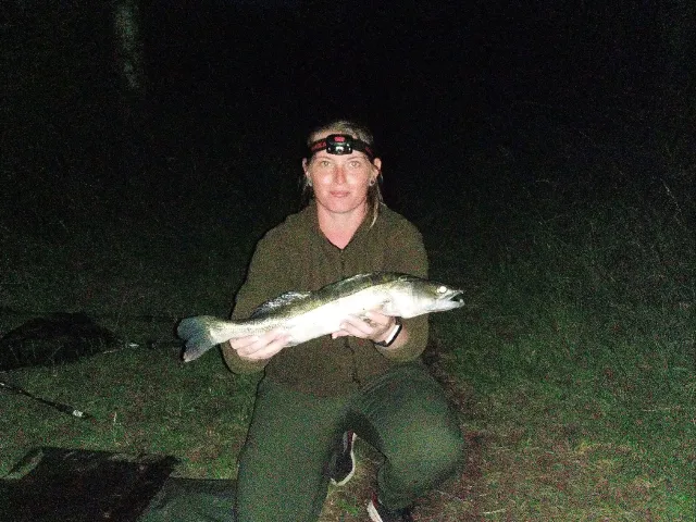 Zander