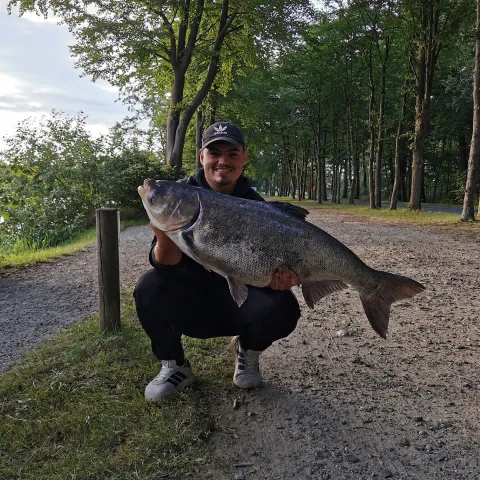 Marmorkarpfen