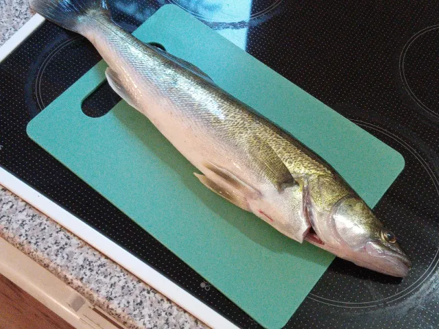 Zander