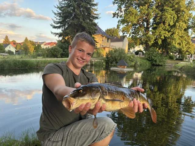 Karpfen
