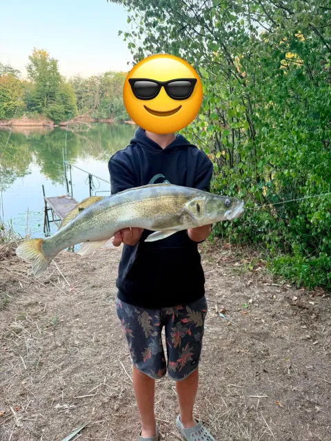 Zander