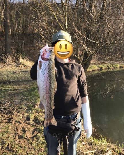 Regenbogenforelle