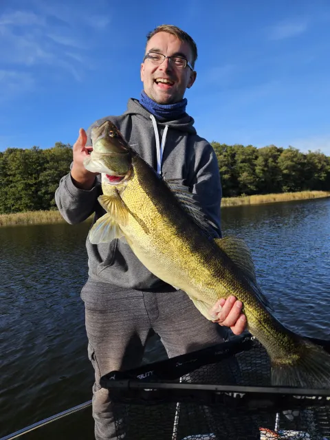 Zander