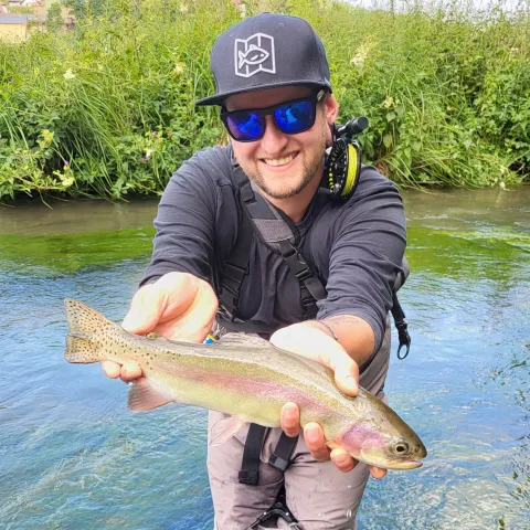 Regenbogenforelle