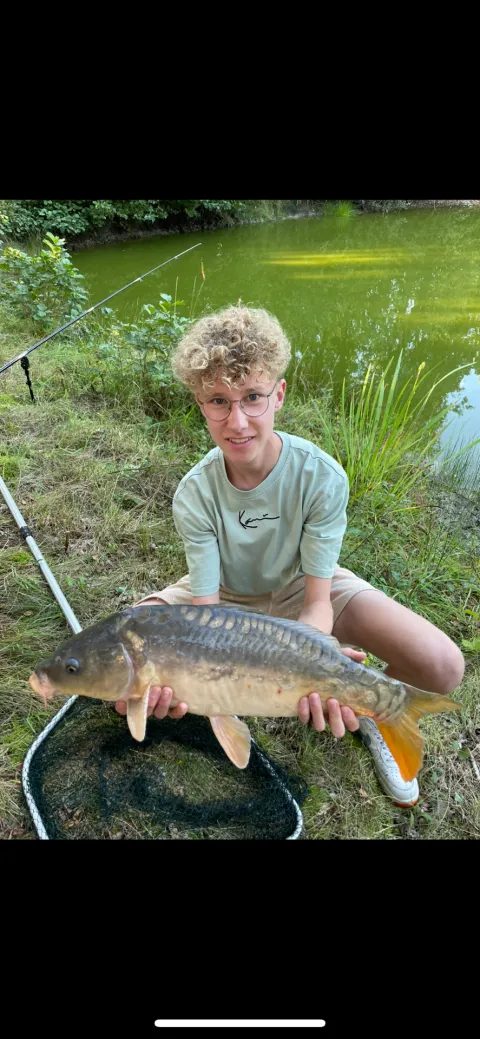 Karpfen