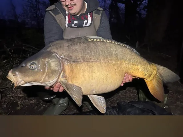 Karpfen