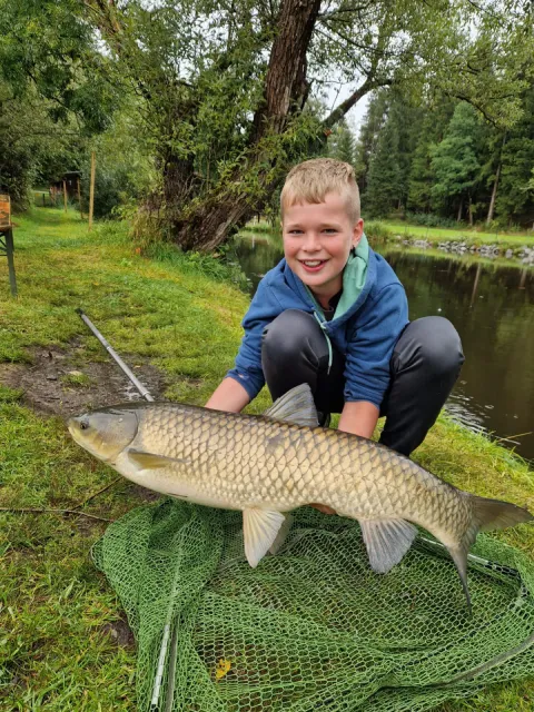 Graskarpfen