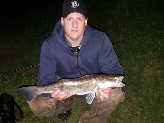 Zander
